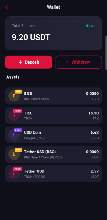 Wallet: per-asset, per-network balances